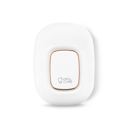 가포 오랄케어 PTC 온열 바람건조 휴대용 칫솔 살균기, STB-031, 화이트