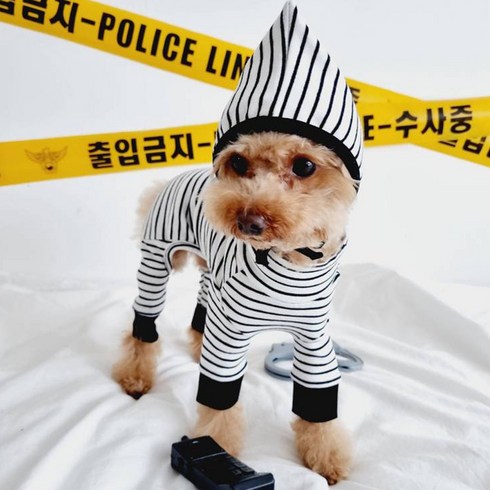 바이굄 강아지 꼬마도둑 올인원, 블랙, 1개