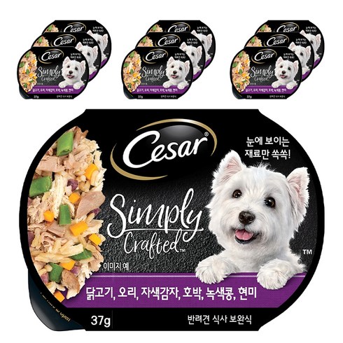시저 1세 이상 강아지 심플리 크래프티드 습식사료, 닭+오리, 37g, 10개