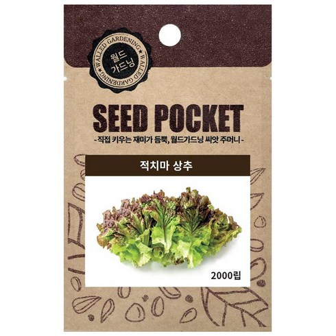 월드가드닝 정원 텃밭 좋은 씨앗 적치마상추씨 2000p, 1개