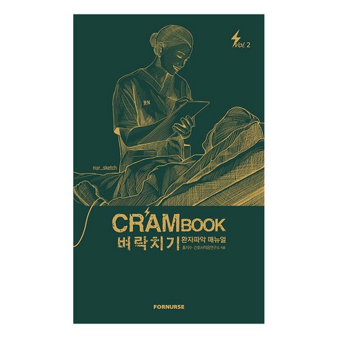 Crambook 벼락치기 환자파악 매뉴얼, 홍지수, 간호적응연구소, 포널스