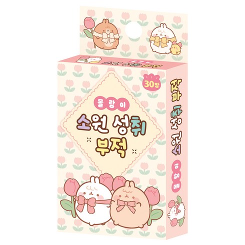 몰랑이 소원 성취 부적, 대원키즈
