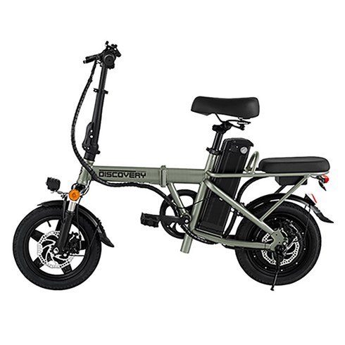 레이윙 디스커버리 엔트리 F14e 35.56cm 36V 350W 18.2AH 접이식 전기자전거, 세이지그린, 스틸