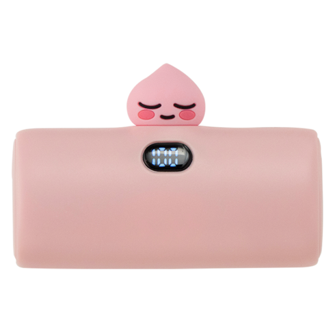 카카오프렌즈 빼꼼 도킹형 고속충전 보조배터리 5000mAh C타입, 단일상품(C타입), 어피치