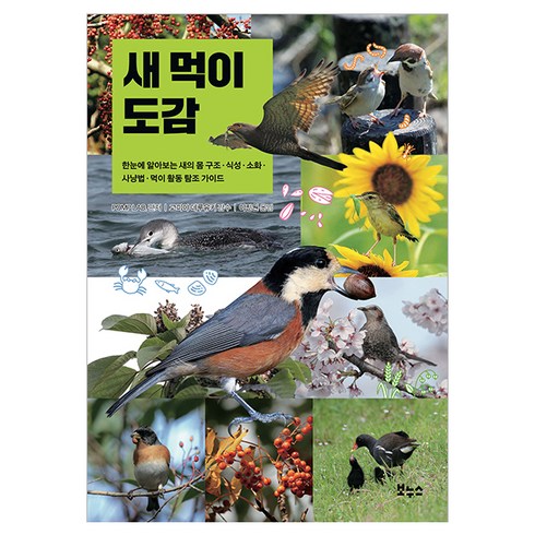 새 먹이 도감, 보누스, POMP LAB