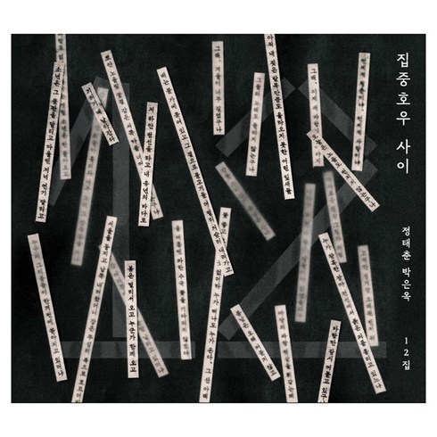 정태춘 박은옥 12집 집중호우 사이, 1CD