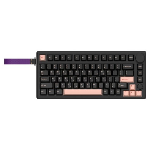 COX VIA 엣지 LED 노브 3MODE 기계식 유무선 텐키리스 키보드 Carda 조약돌축, 블랙, CQK81, 독자규격 스위치