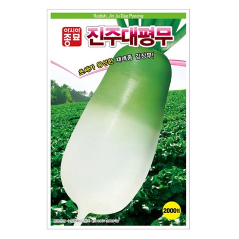 아시아종묘 씨앗 진주대평무 2000p, 1개