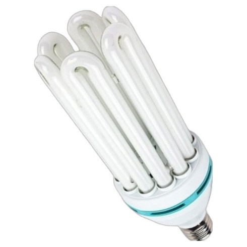 블루밍 EL 삼파장전구 100W EL 100 EX-D, 주광색, 1개
