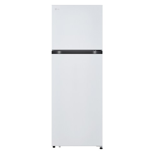 LG전자 2도어 241L 일반냉장고 방문설치, B245W22