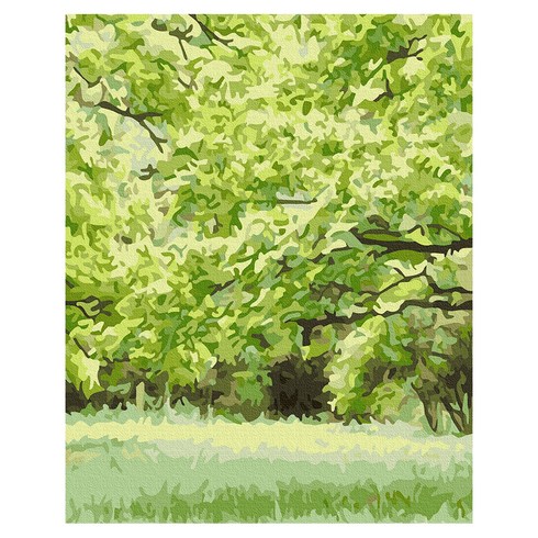 플레이어바웃 DIY 유화 그림그리기 세트 40 x 50 cm, 그린 하모니(GX41398), 1세트