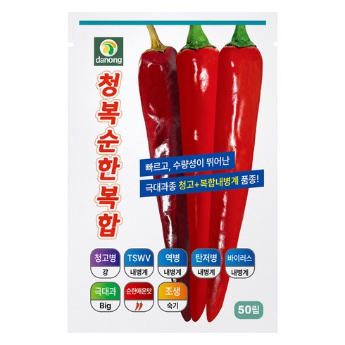 다농 청복순한복합 고추 씨앗 50p, 1개