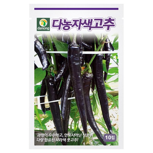 다농 자색고추 씨앗 10p, 1개