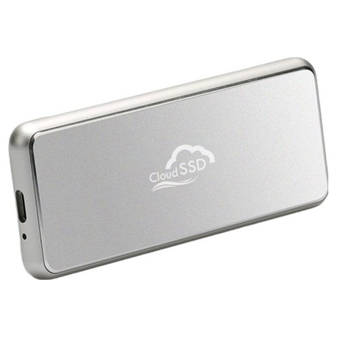 한창코퍼레이션 Portable Pro 외장 SSD, 실버, 250GB