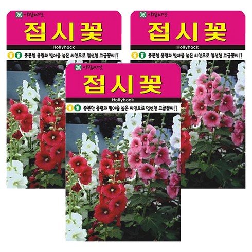 아람씨앗 접시꽃 종자 씨앗, 3개