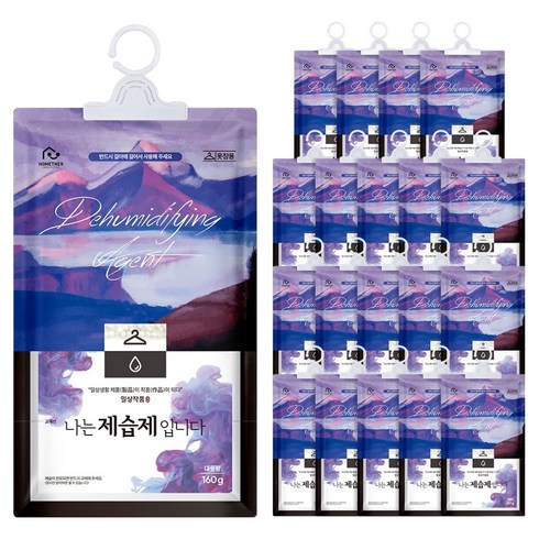 홈트너 나는 제습제 입니다 옷장용, 160g, 20개