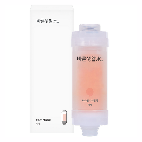 바른생활수 비타민 샤워필터, 1개, 피치