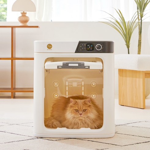 pepe 안면무풍 소형견용 펫드라이룸, DR-100PRO, 화이트, 1개