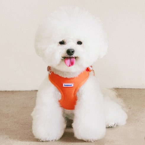펫츠랜드 강아지 하트팝 X형 하네스, 탠저린오렌지, 1개