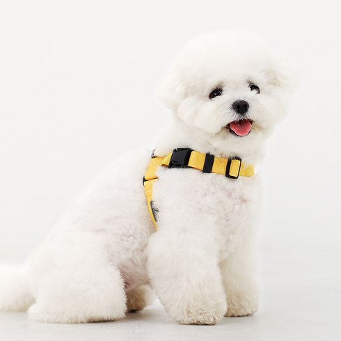 마이플러피 노터치 밴드 하네스, 옐로우, 1개