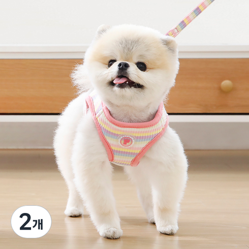 핑카홀릭 강아지 달콤한 산책 B형 하네스 HB7710, 핑크, 2개
