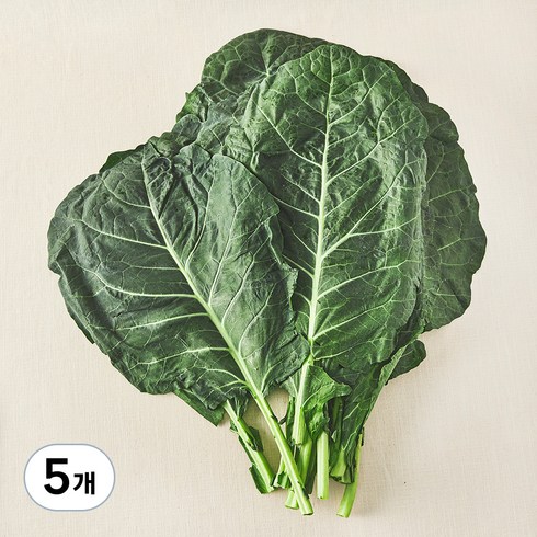 유기농 녹즙용 케일, 1kg, 5개