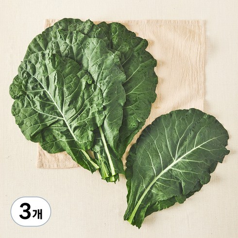 유기농 녹즙용 케일, 300g, 3개