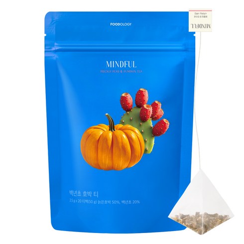 푸드올로지 마인드풀 백년초 호박 삼각티백, 2.5g, 20개입, 1개
