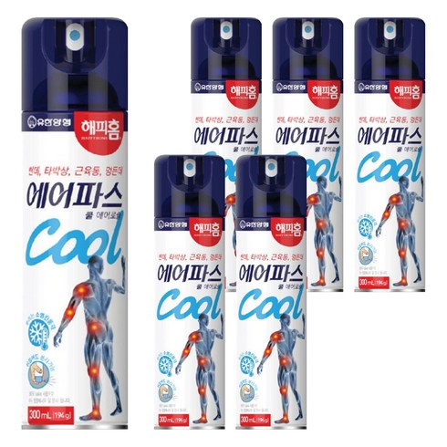 해피홈 에어파스 쿨 에어로솔 300ml, 1개입, 6개