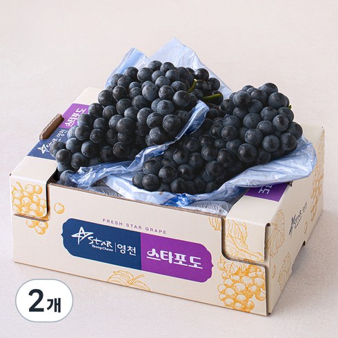 데일리 금호농협 영천 머루포도 MBA, 2개, 2kg