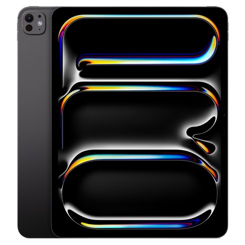 Apple 2025 아이패드 프로 13(M5 모델) 스탠다드 글래스, 스페이스 블랙, 256GB, Wi-Fi