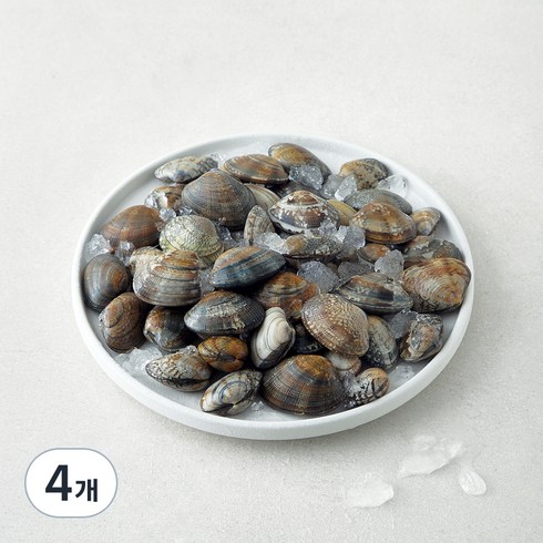 직접 손으로 채취한 서해안 갯벌 참 바지락, 1kg, 4개