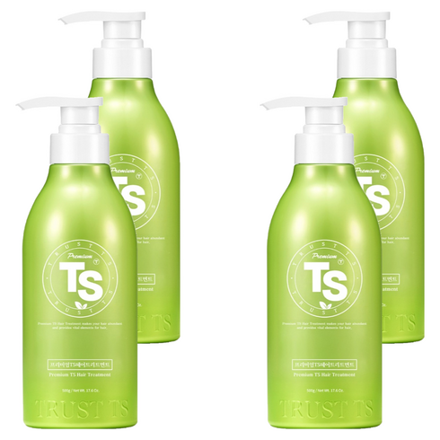TS 프리미엄 트리트먼트, 500g, 4개