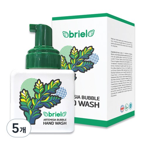 디보트브리엘 버블 핸드워시, 개똥쑥, 250ml, 5개