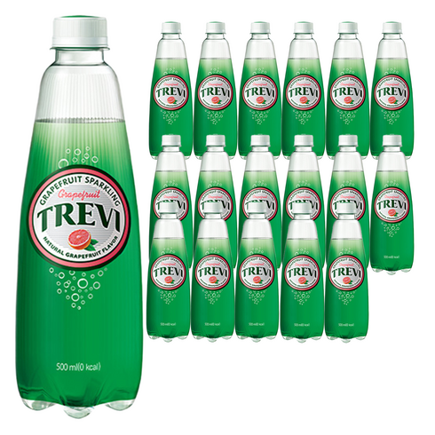 트레비 자몽 탄산음료, 500ml, 18개