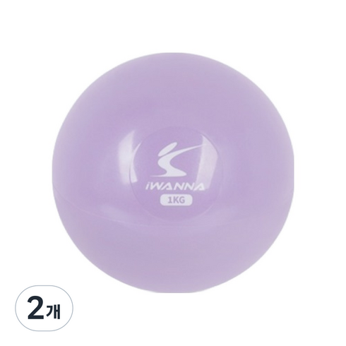 아이워너 토닝 웨이트볼, 오키드퍼플, 1kg, 2개