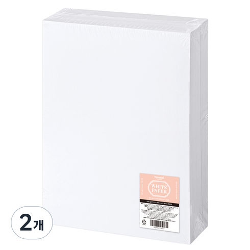 탐사 스노우지 200g 250p, A4, 2개