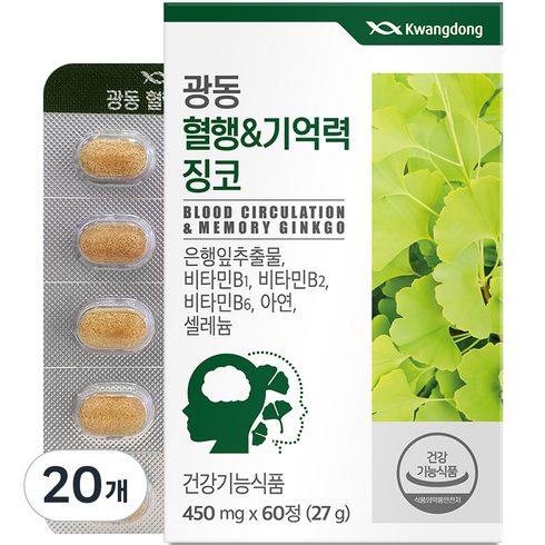 광동 혈행&기억력 징코, 60정, 20개