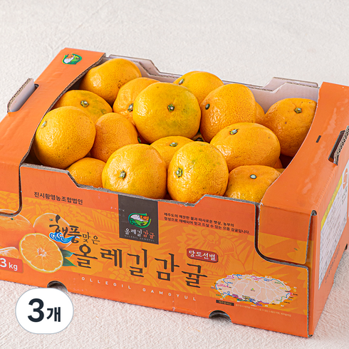 올레길 AI 당도선별 11brix 감귤, 3kg(랜덤과), 3개