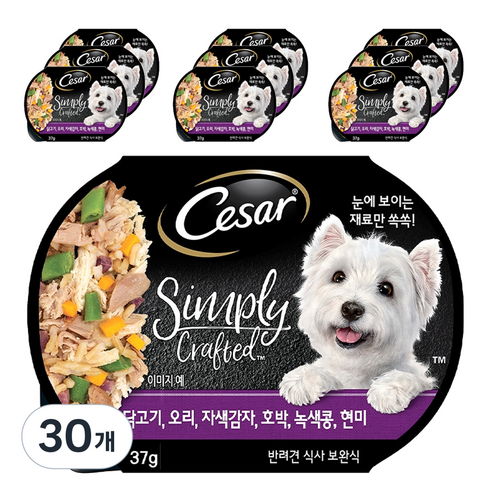 시저 1세 이상 강아지 심플리 크래프티드 습식사료, 닭+오리, 37g, 30개