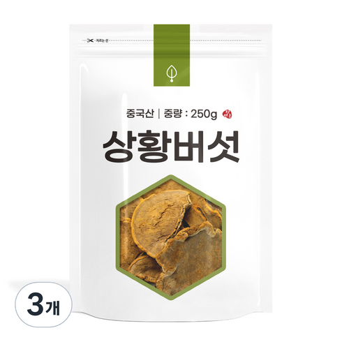 자연초 상황버섯, 250g, 3개