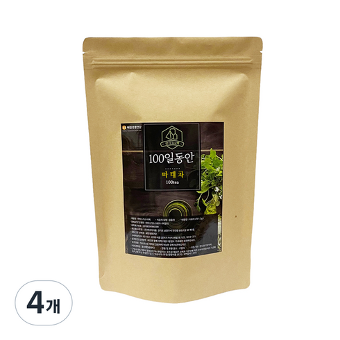 정앤정 100일동안 삼각티백 마테차, 1.2g, 100개입, 4개