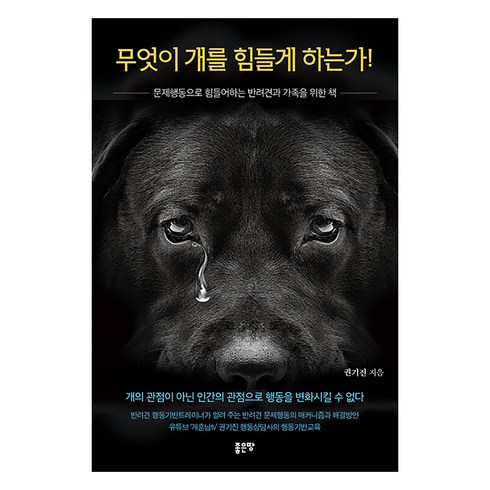 무엇이 개를 힘들게 하는가! : 문제행동으로 힘들어하는 반려견과 가족을 위한 책, 좋은땅, 권기진