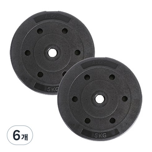 아리프 플렉스 원판, 5kg, 6개