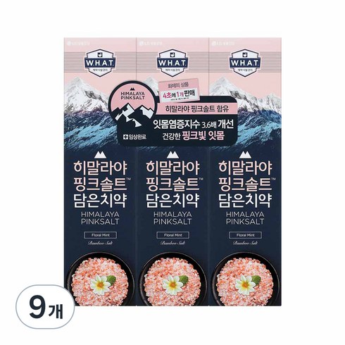 히말라야핑크솔트 담은 치약 플로럴, 100g, 9개