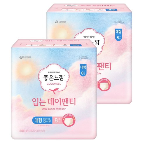 좋은느낌 입는 데이팬티 생리대, 대형, 8개입, 2개