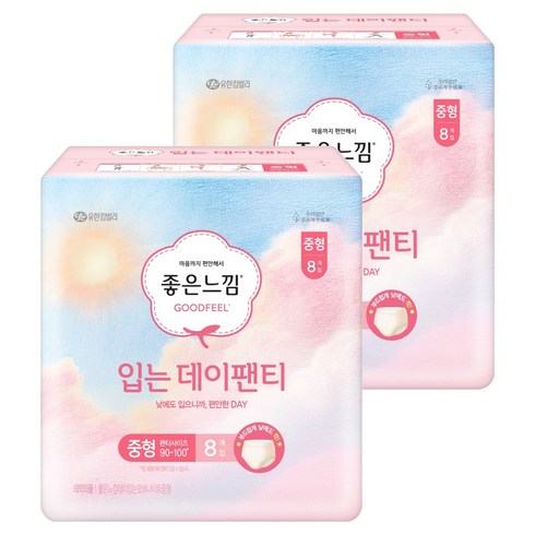 좋은느낌 입는 데이팬티 생리대, 중형, 8개입, 2개