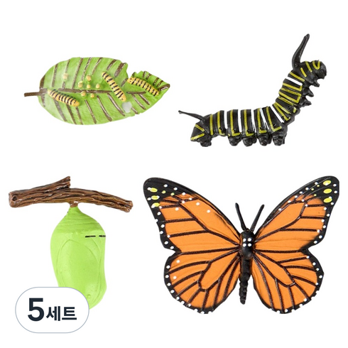 캐스비 네이처 성장과정 피규어 나비 세트, 5세트