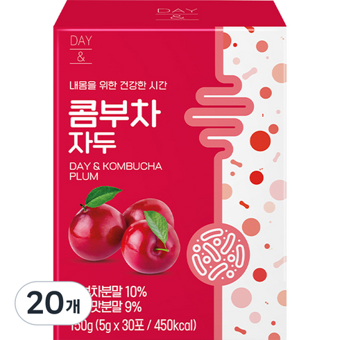 데이앤 콤부차 자두, 150g, 20개