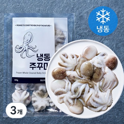 바이오션 주꾸미 (냉동), 500g(10~15마리), 3개